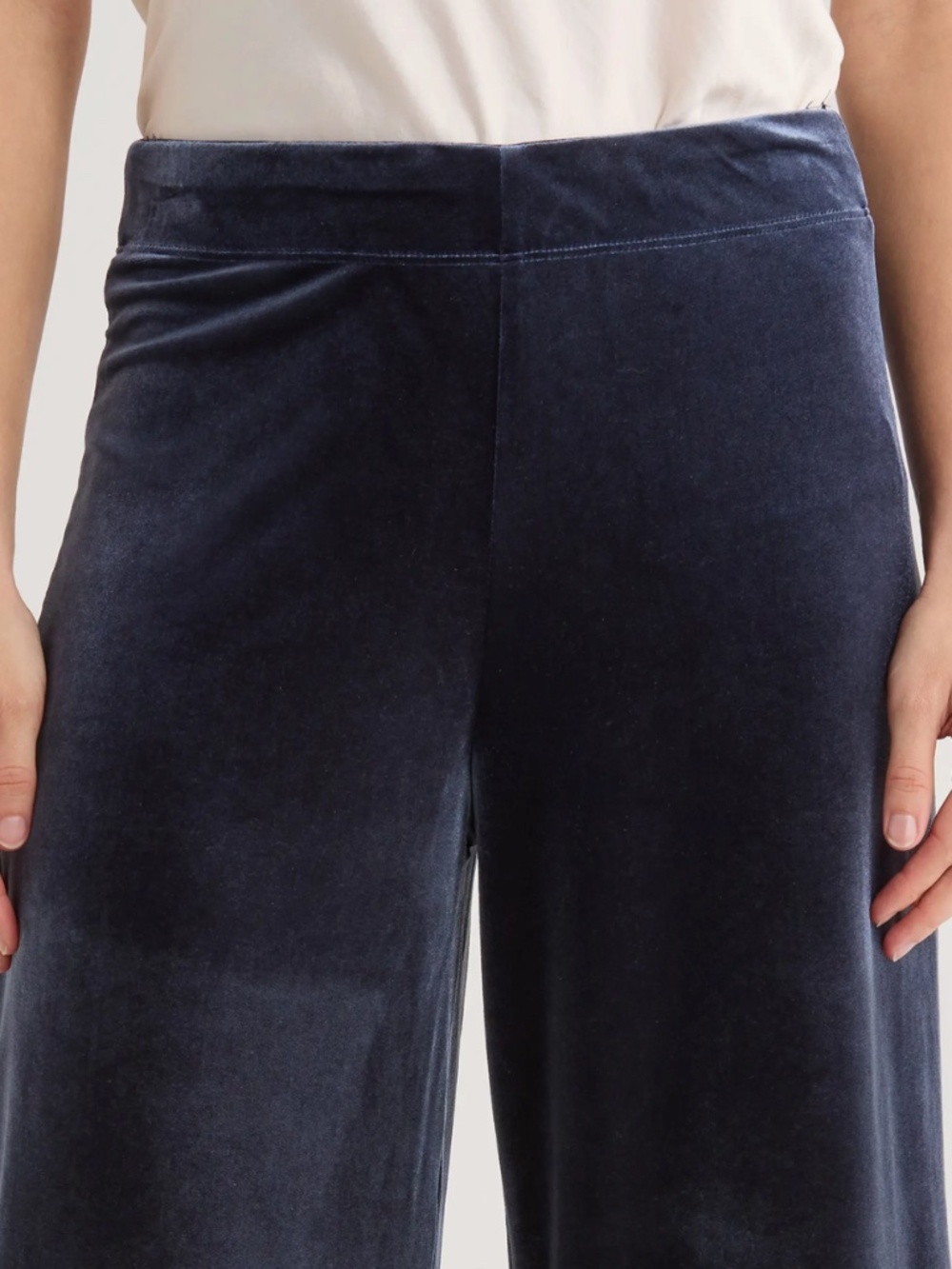 NWT Max Studio Velvet Wide Leg Pants